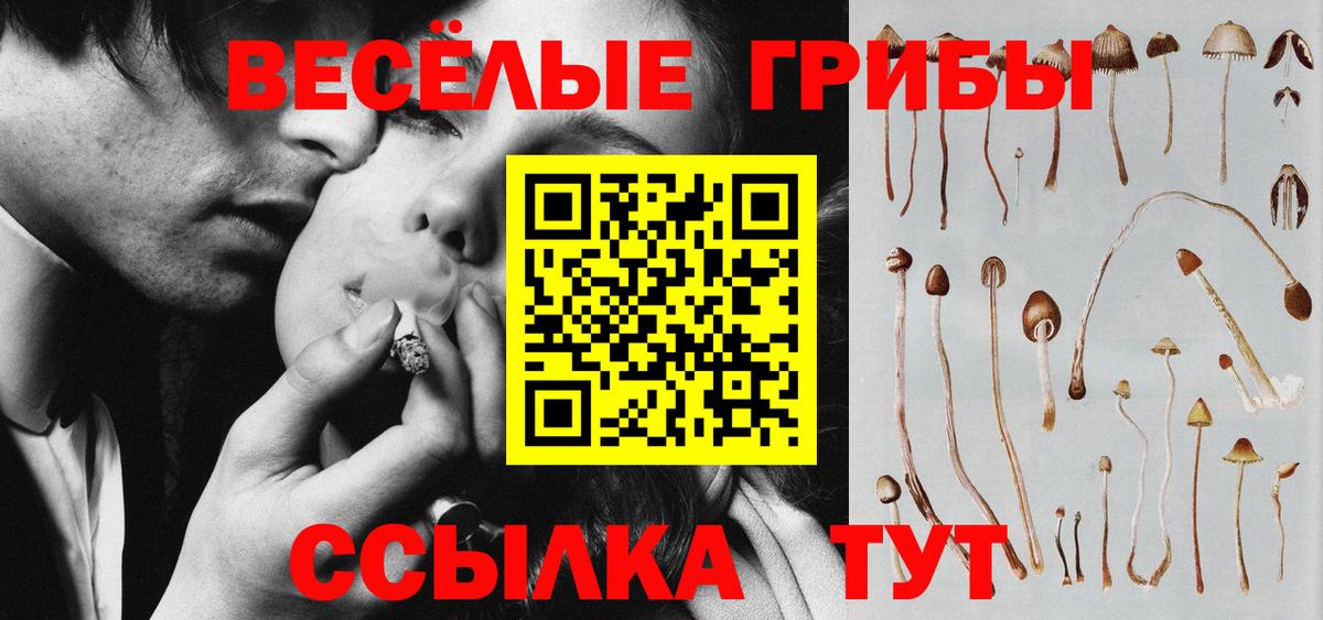 Галлюциногенные грибы Magic Shrooms Сочи